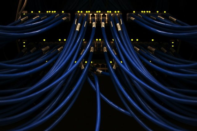 Blue network cables connected to a server